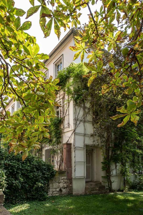 Ferienwohnung Am Dom Naumburg  Ngoại thất bức ảnh