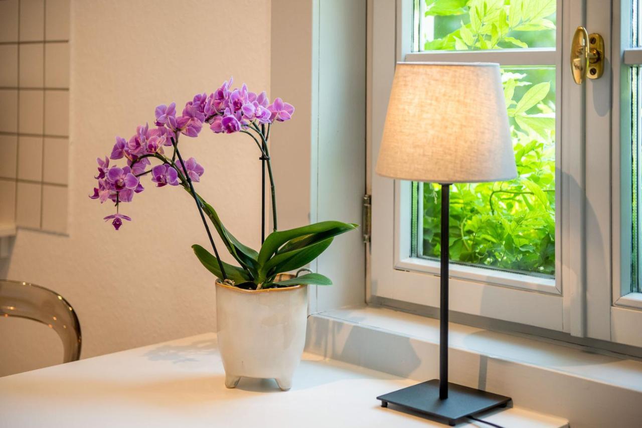 Ferienwohnung Am Dom Naumburg  Ngoại thất bức ảnh